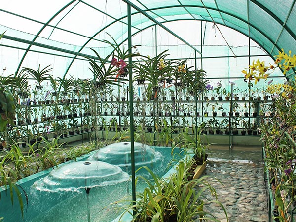 work Image